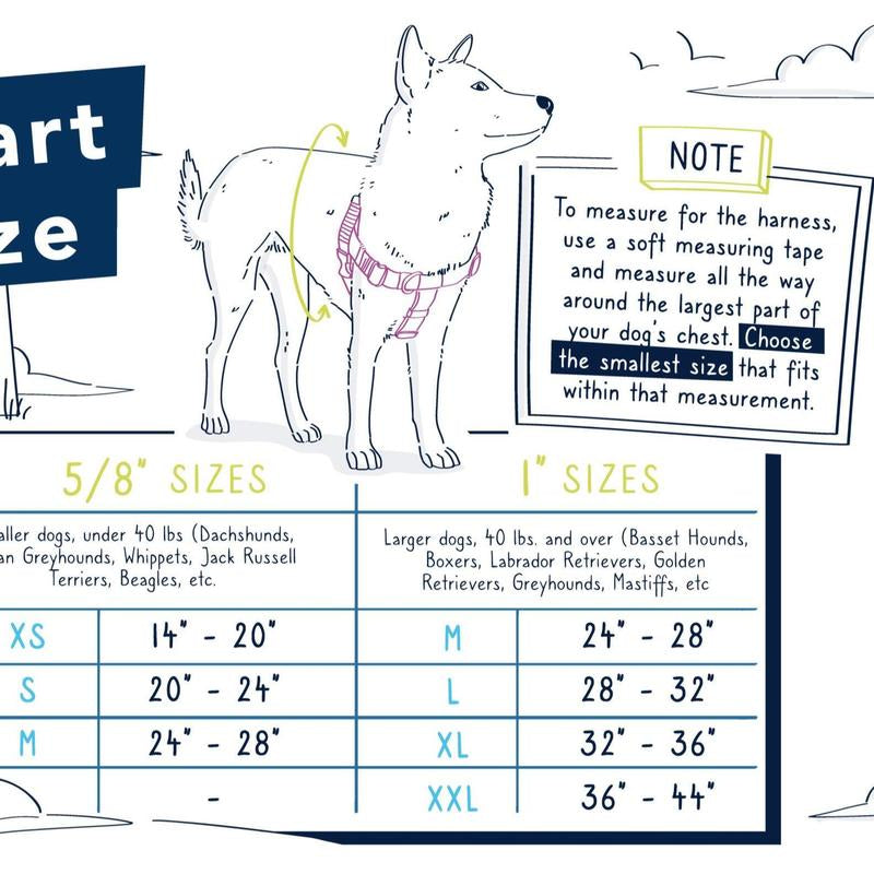 Cherry Blossoms Freedom No-Pull Dog Harness – Earthstyle