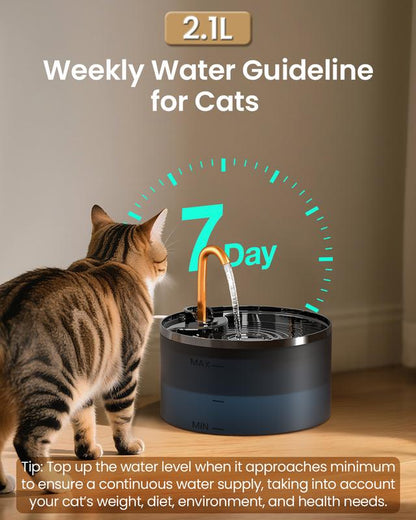 DOOOB Silent Cat Water Fountain 2.1L B13 Pet Water Fountain Ultra-Quiet Copper Spout Night Light 6-Layer Filter Soft Blue LED Automatic Gravity Feeder