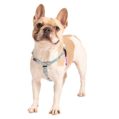 Cherry Blossoms Freedom No-Pull Dog Harness – Earthstyle