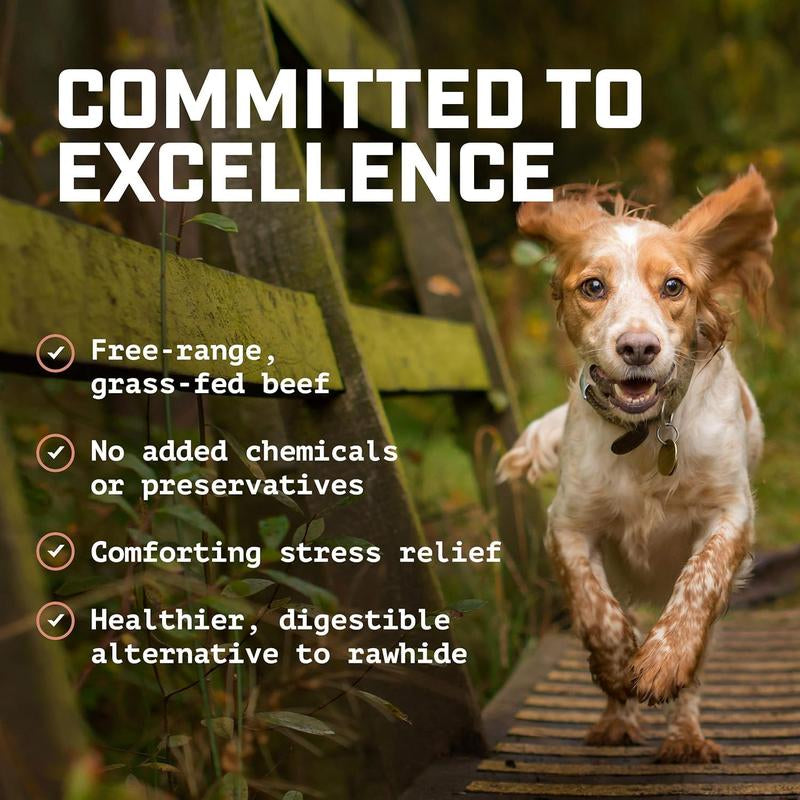 Wild Wolf 12-Inch Angus Bully Sticks (8Oz./~5 Sticks) Healthy, All-Natural, Long-Lasting Dog Chew Bones - Low Odor - Mixed Thickness - Lab-Tested, Hand-Inspected and Packed with Love in the USA