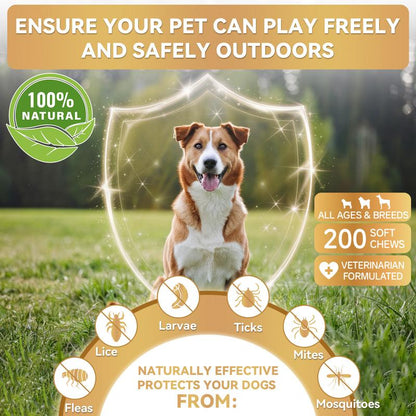 【SALE】WEALLIN Flea & Tick Prevention Chews for Dogs – Natural Formula with Coconut Oil & Flaxseed – 120 Soft Chews – Daily Support for All Breeds & Sizes – Gentle Vet-Formulated – Free Gift Included - Animal Safe