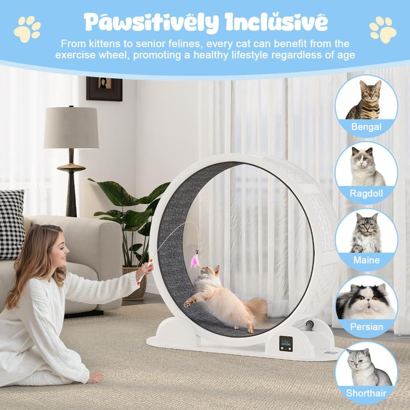 41-Inch Large Exercise Wheel for Cats, Super Silent Plastic Cat Running Wheel with Removable Soft Carpet Track & Built-In Counter, Supports up to 45 Lbs for Large Breed Cats, Ideal for Multi-Cat Use