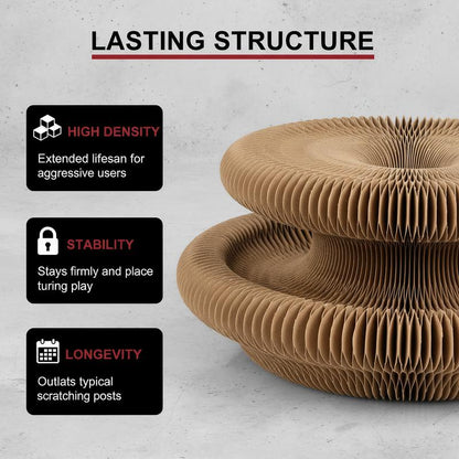 Magic Organ Cat Scratcher Board with Bell Ball, Interactive Cat Toy, Physical Exercise for Indoor Cats Toy- 1 Jingle Balls + Durable Cardboard