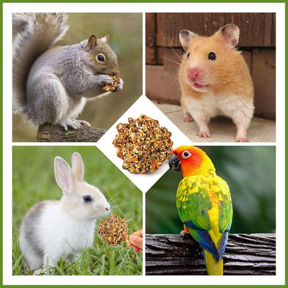 Natural Pinecone Chew Toys with Edible Sunflower & Veggies - Malt Sugar Coated Foraging Enrichment for Parrots Cockatiels Conures Budgies Immune & Digestive Support Safe Bird Toy 2Pcs