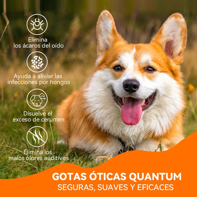 Puainta Dog Ear Cleaner Drops Vet Recommended - Quantum Silver for Itching, Irritation & Wax Build-Up, Made in USA, 1Oz