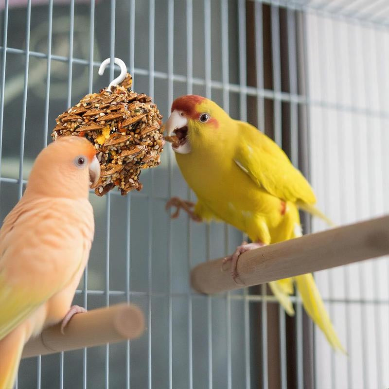 Natural Pinecone Chew Toys with Edible Sunflower & Veggies - Malt Sugar Coated Foraging Enrichment for Parrots Cockatiels Conures Budgies Immune & Digestive Support Safe Bird Toy 2Pcs