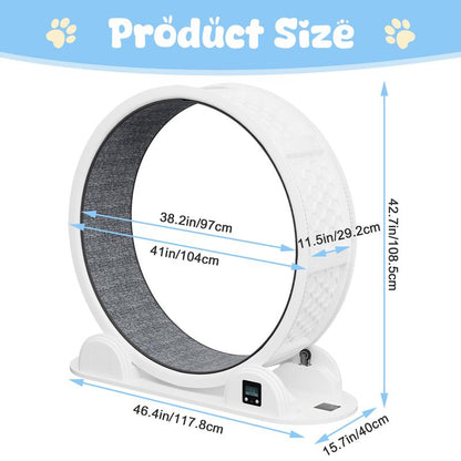 41-Inch Large Exercise Wheel for Cats, Super Silent Plastic Cat Running Wheel with Removable Soft Carpet Track & Built-In Counter, Supports up to 45 Lbs for Large Breed Cats, Ideal for Multi-Cat Use