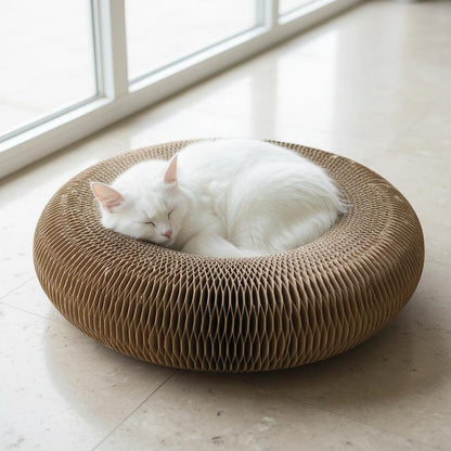 Magic Organ Cat Scratcher Board with Bell Ball, Interactive Cat Toy, Physical Exercise for Indoor Cats Toy- 1 Jingle Balls + Durable Cardboard