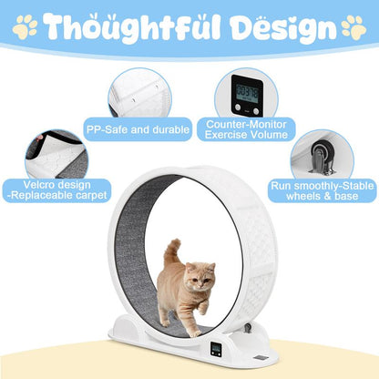 41-Inch Large Exercise Wheel for Cats, Super Silent Plastic Cat Running Wheel with Removable Soft Carpet Track & Built-In Counter, Supports up to 45 Lbs for Large Breed Cats, Ideal for Multi-Cat Use