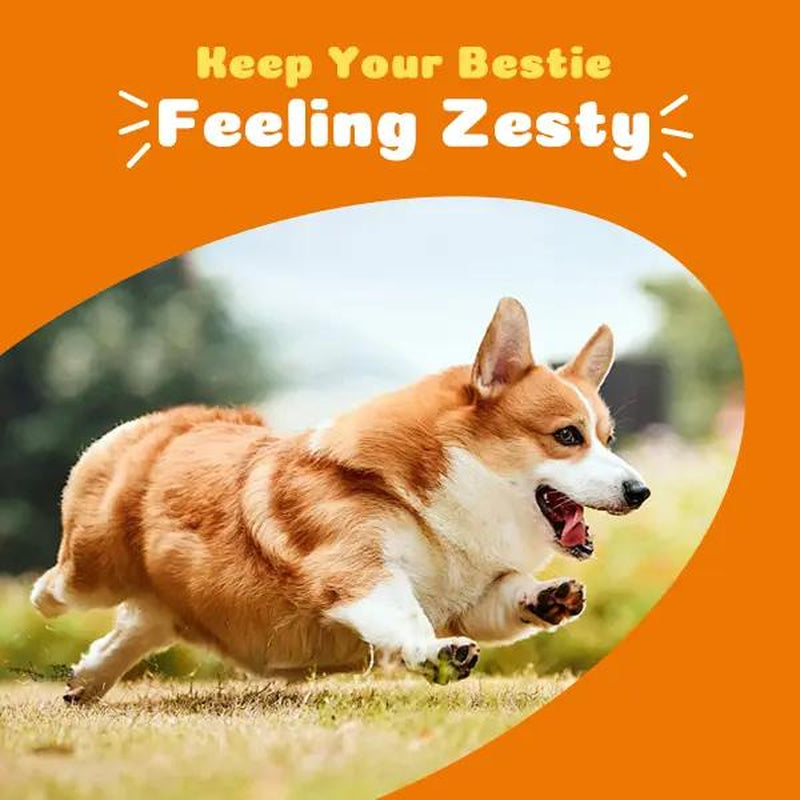 Pet Daddy 8-In-1 Multivitamin Bites for Dogs - 120 Chews for Joint Skin Omega 3 Support - Heart Immune Health - Coq10 Cod Liver Oil