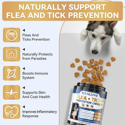 【SALE】WEALLIN Flea & Tick Prevention Chews for Dogs – Natural Formula with Coconut Oil & Flaxseed – 120 Soft Chews – Daily Support for All Breeds & Sizes – Gentle Vet-Formulated – Free Gift Included - Animal Safe