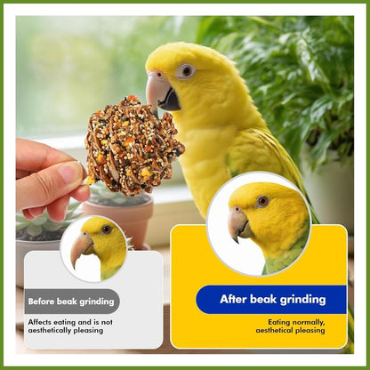 Natural Pinecone Chew Toys with Edible Sunflower & Veggies - Malt Sugar Coated Foraging Enrichment for Parrots Cockatiels Conures Budgies Immune & Digestive Support Safe Bird Toy 2Pcs