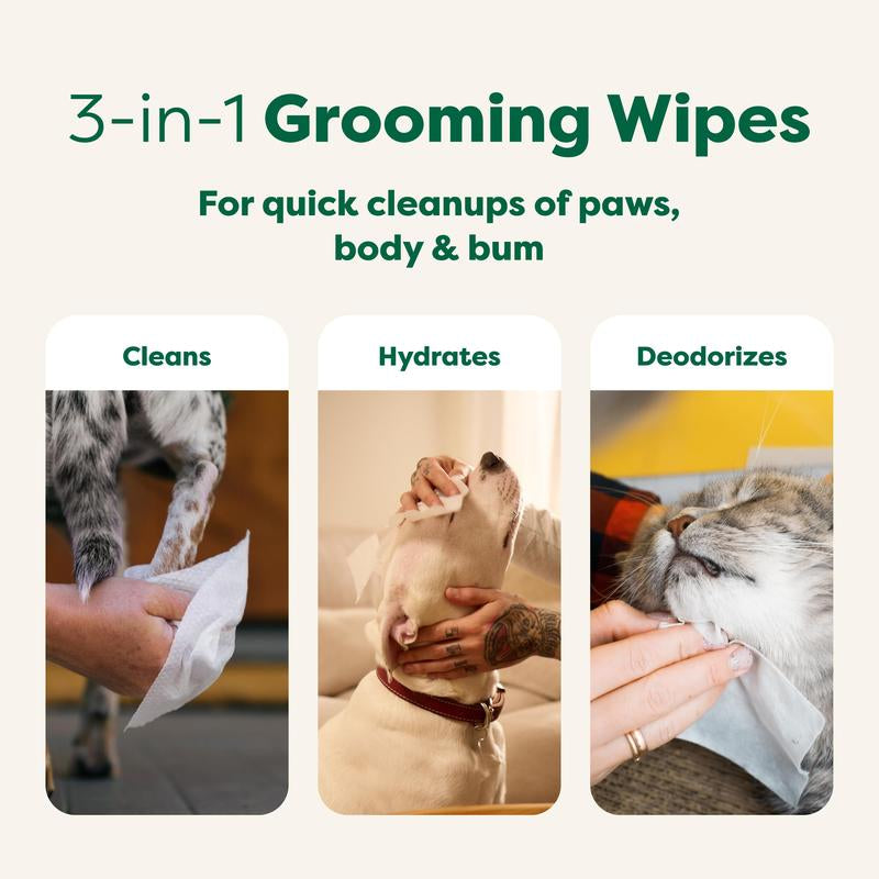 Earth Rated | 3-In-1 Pet Grooming Wipes for Dogs & Cats, Cleaning, Deodorizing & Hydrating, White Tea & Basil Scent, 400 Count