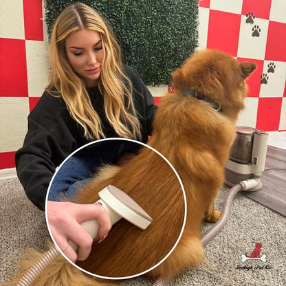 Indigopet Grooming Vacuum Kit - 6 in 1 Pet Grooming