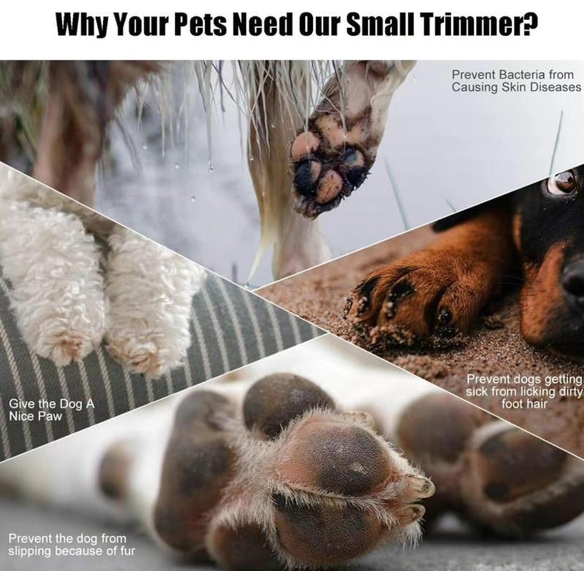 Pet Trimmer for Dogs and Cats Waterproof Shaver with LED Light 18Mm Widen Blade Multifunctional Clippers for Paws Eyes Ears Face Rump USB Rechargeable Grooming Accessories